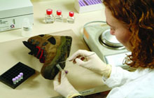 EBP Kent - Forensic Science